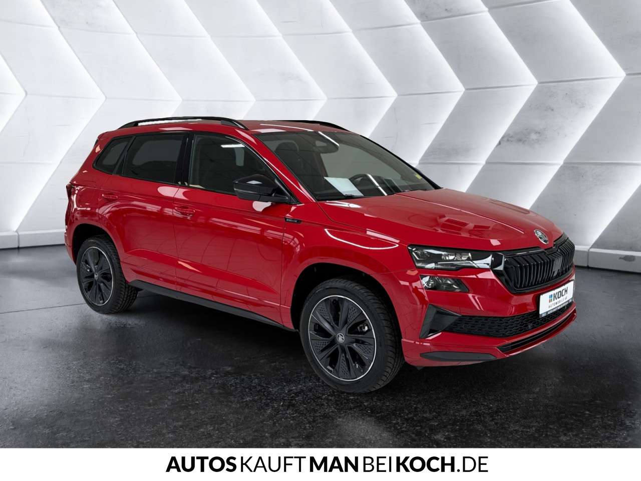 Fahrzeugbild eines Skoda Karoq