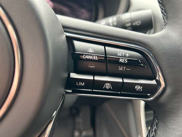 Fahrzeugbild eines Mazda CX-80