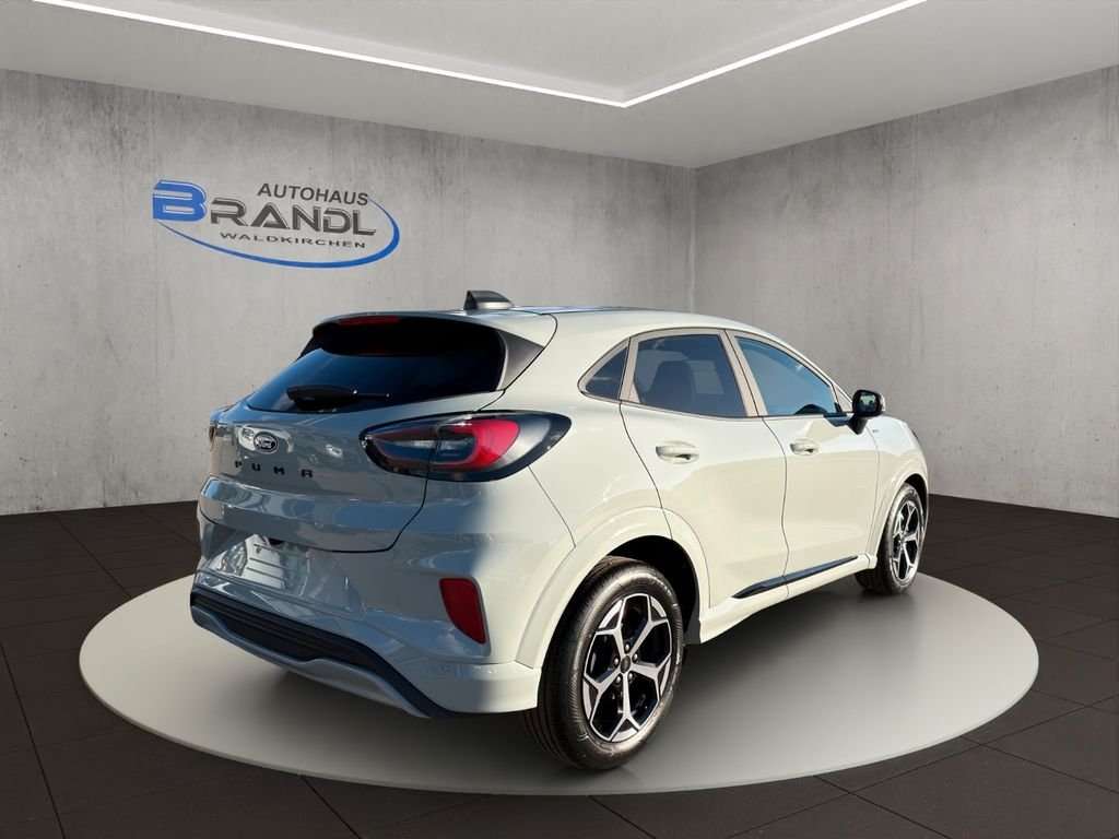 Fahrzeugbild eines Ford Puma