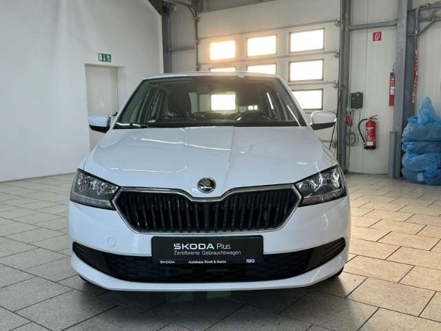 Fahrzeugbild eines Skoda Fabia