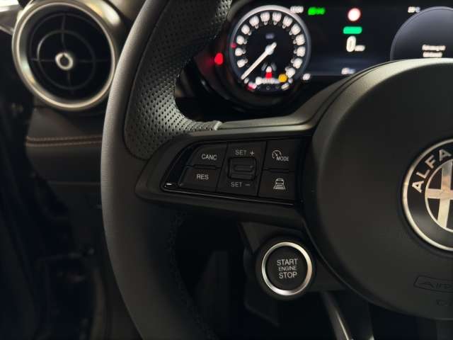 Fahrzeugbild eines Alfa Romeo Tonale