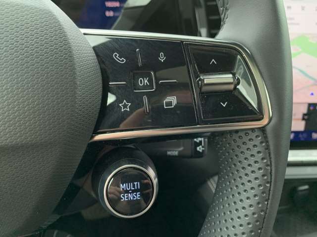 Fahrzeugbild eines Renault Rafale