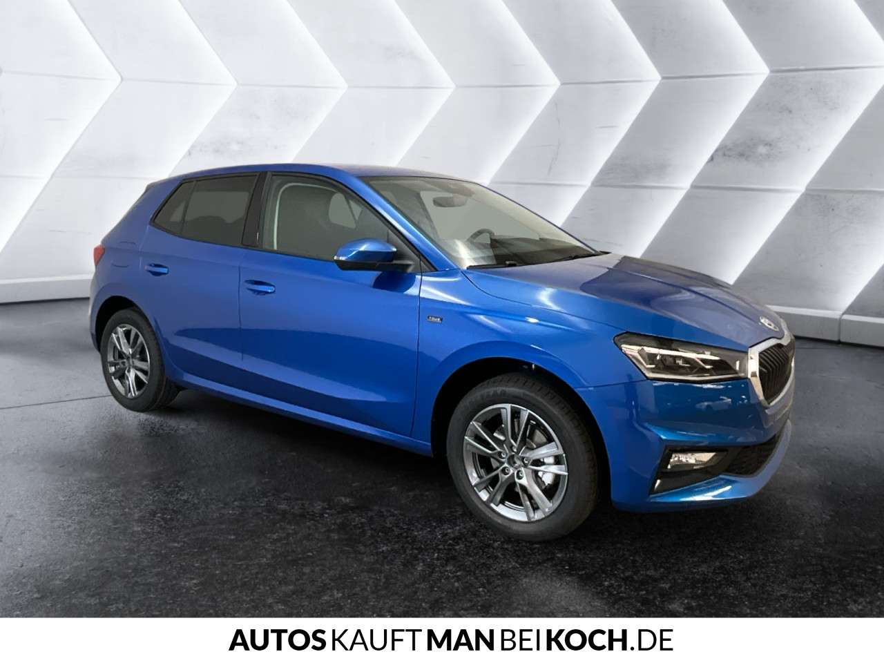 Fahrzeugbild eines Skoda Fabia