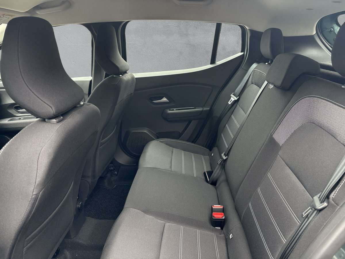 Fahrzeugbild eines Dacia Sandero