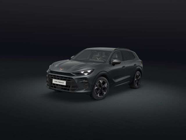 Fahrzeugbild eines CUPRA Terramar