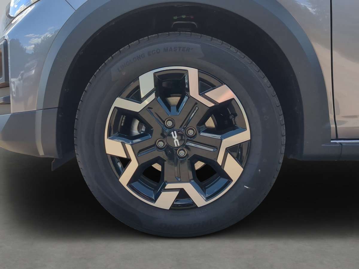 Fahrzeugbild eines Dacia Sandero