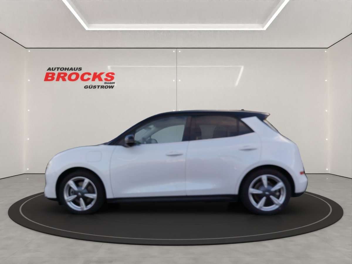 Fahrzeugbild eines GWM Ora 03