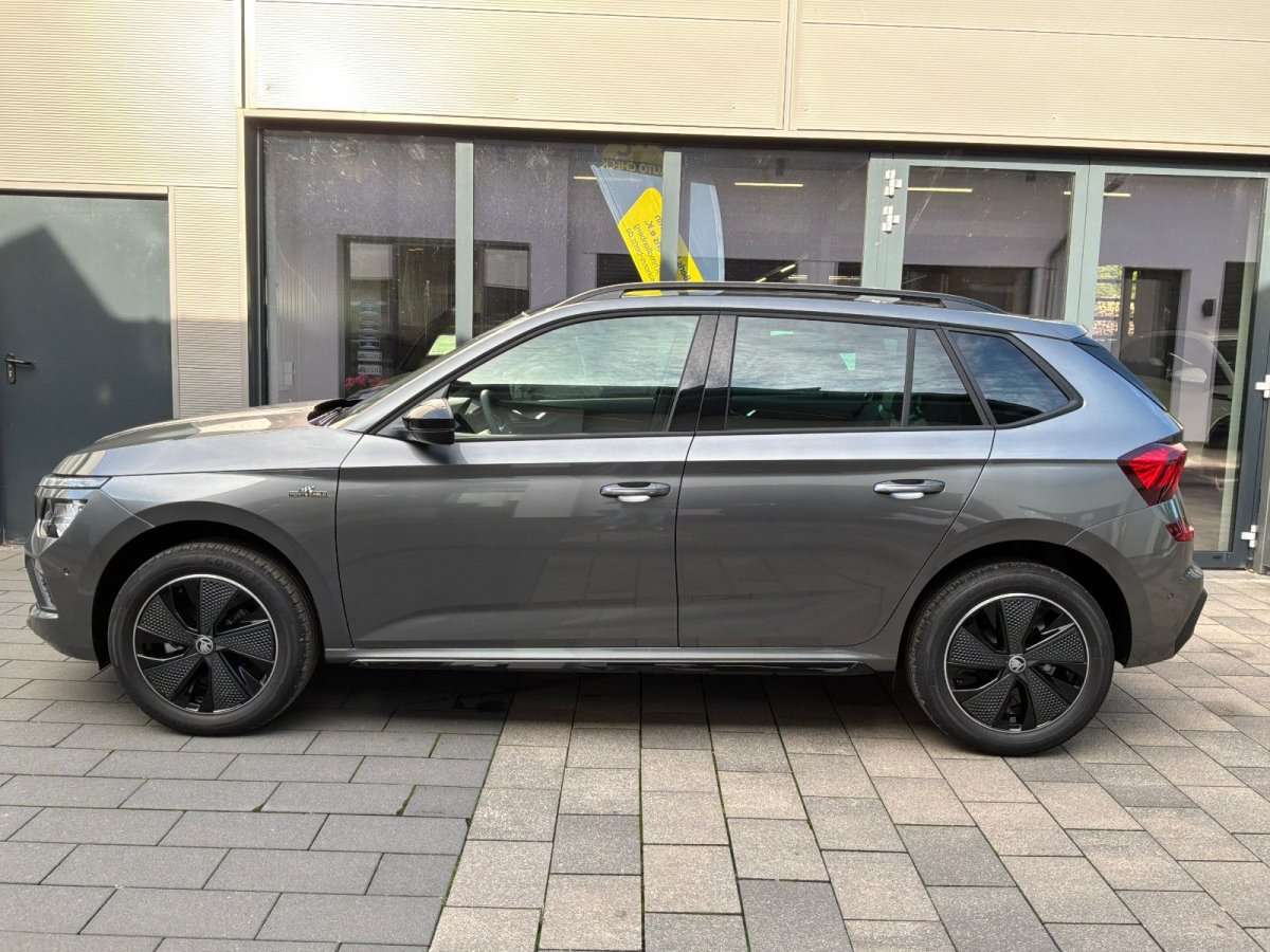 Fahrzeugbild eines Skoda Kamiq