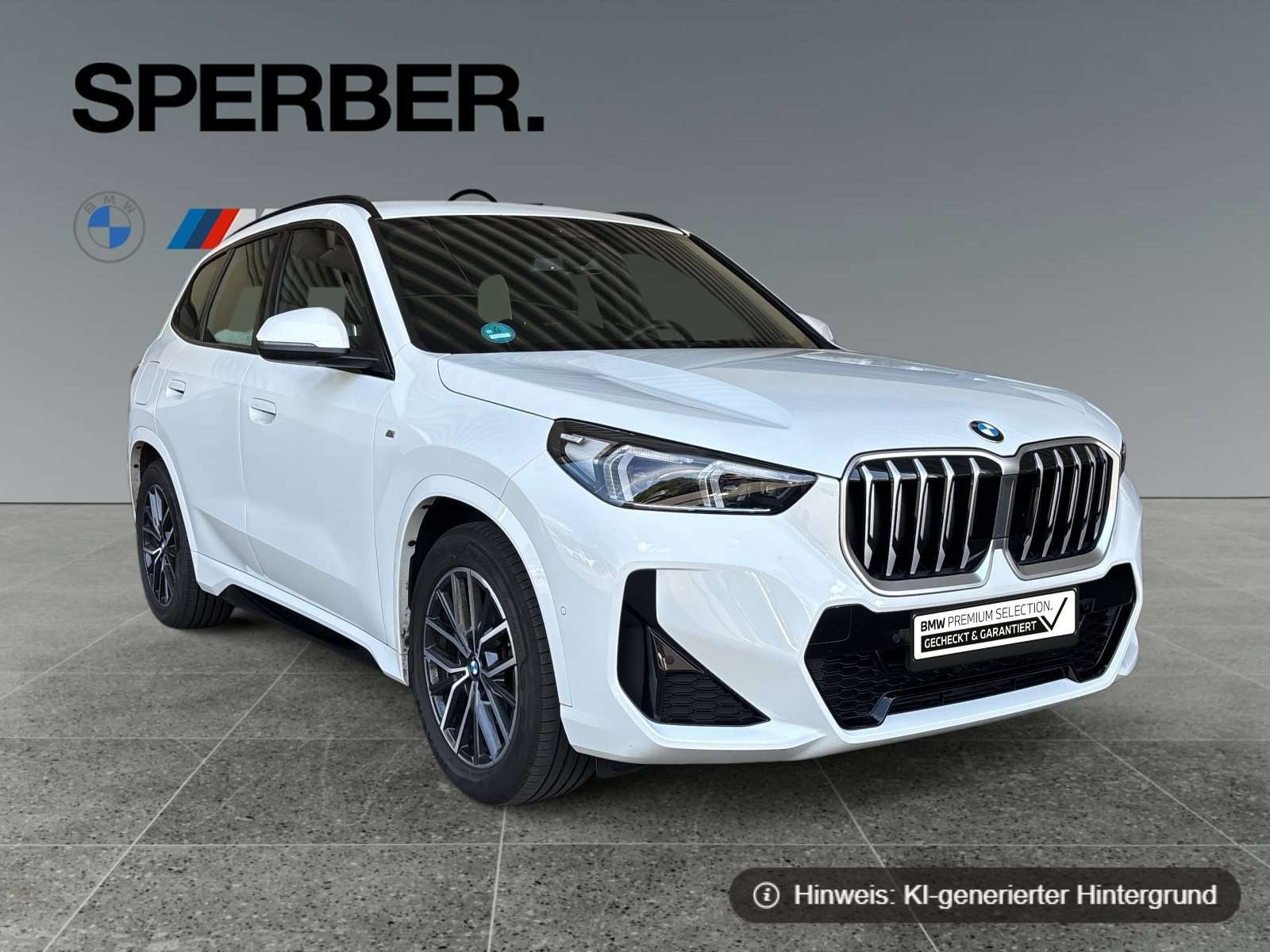 Fahrzeugbild eines BMW X1