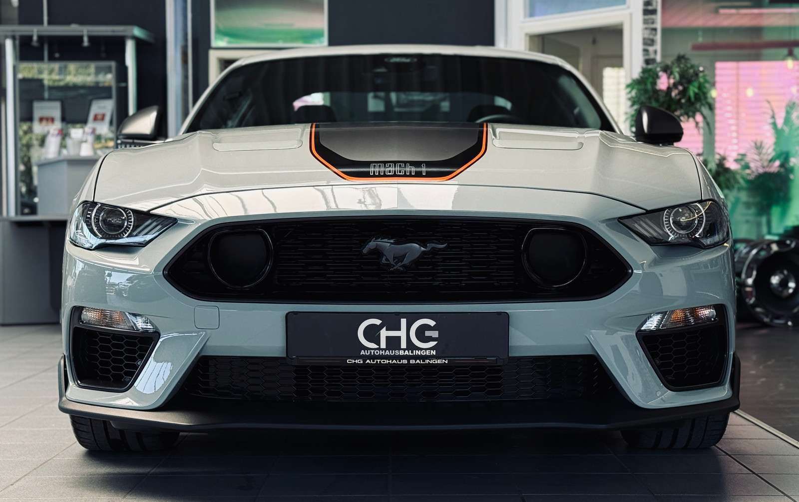 Fahrzeugbild eines Ford Mustang