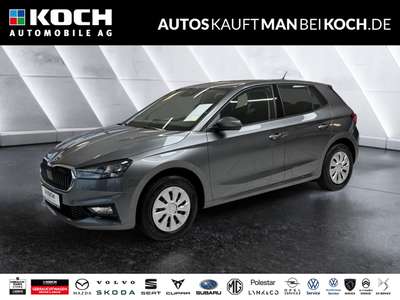 Bild Skoda Fabia