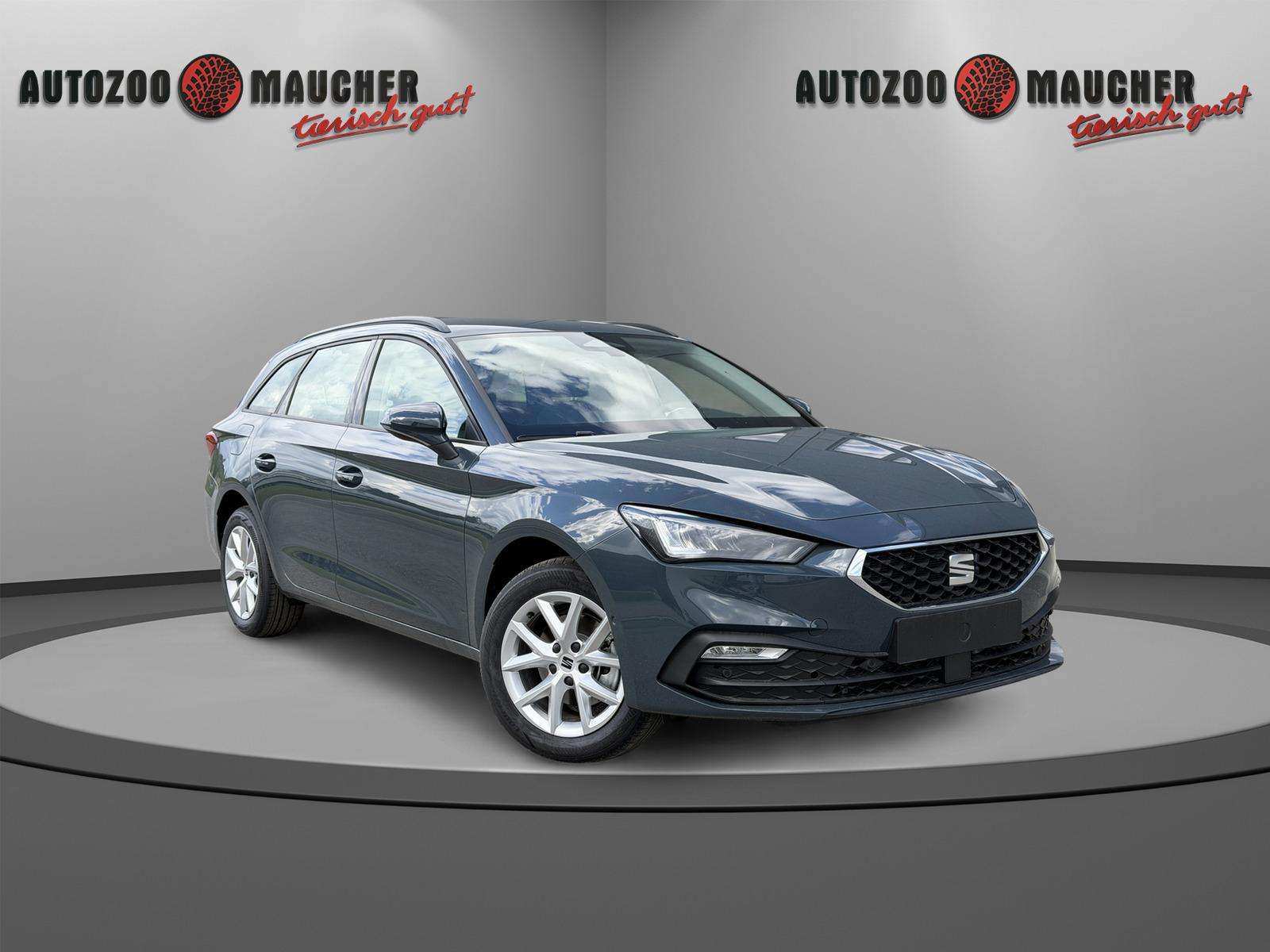Fahrzeugbild eines SEAT Leon