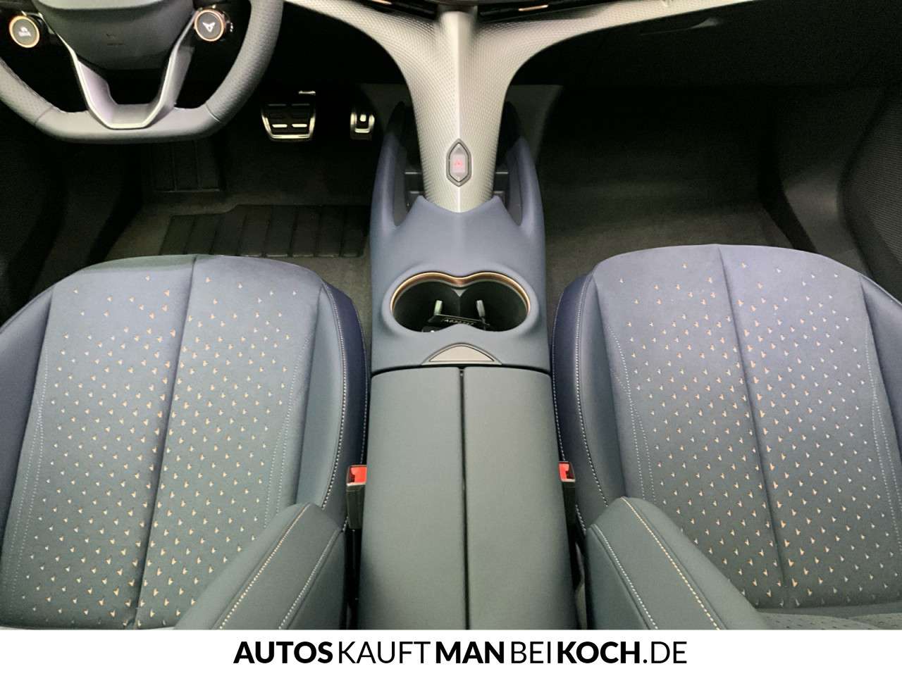 Fahrzeugbild eines CUPRA Tavascan