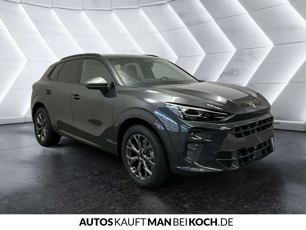 Fahrzeugbild eines CUPRA Terramar