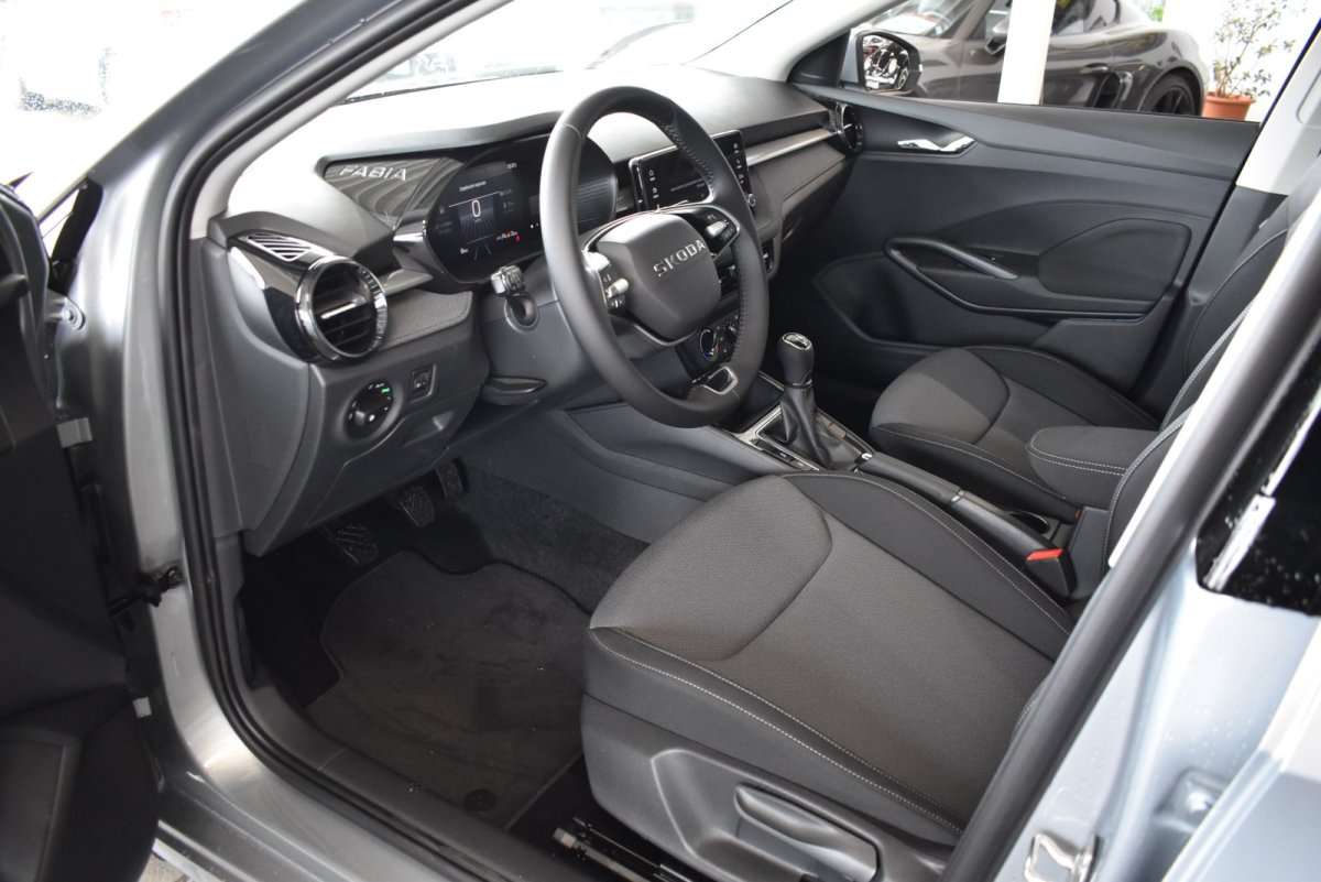 Fahrzeugbild eines Skoda Fabia