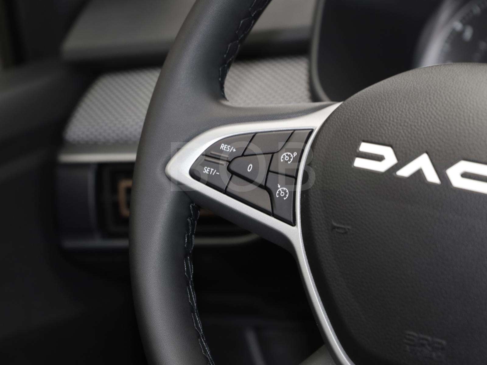 Fahrzeugbild eines Dacia Sandero