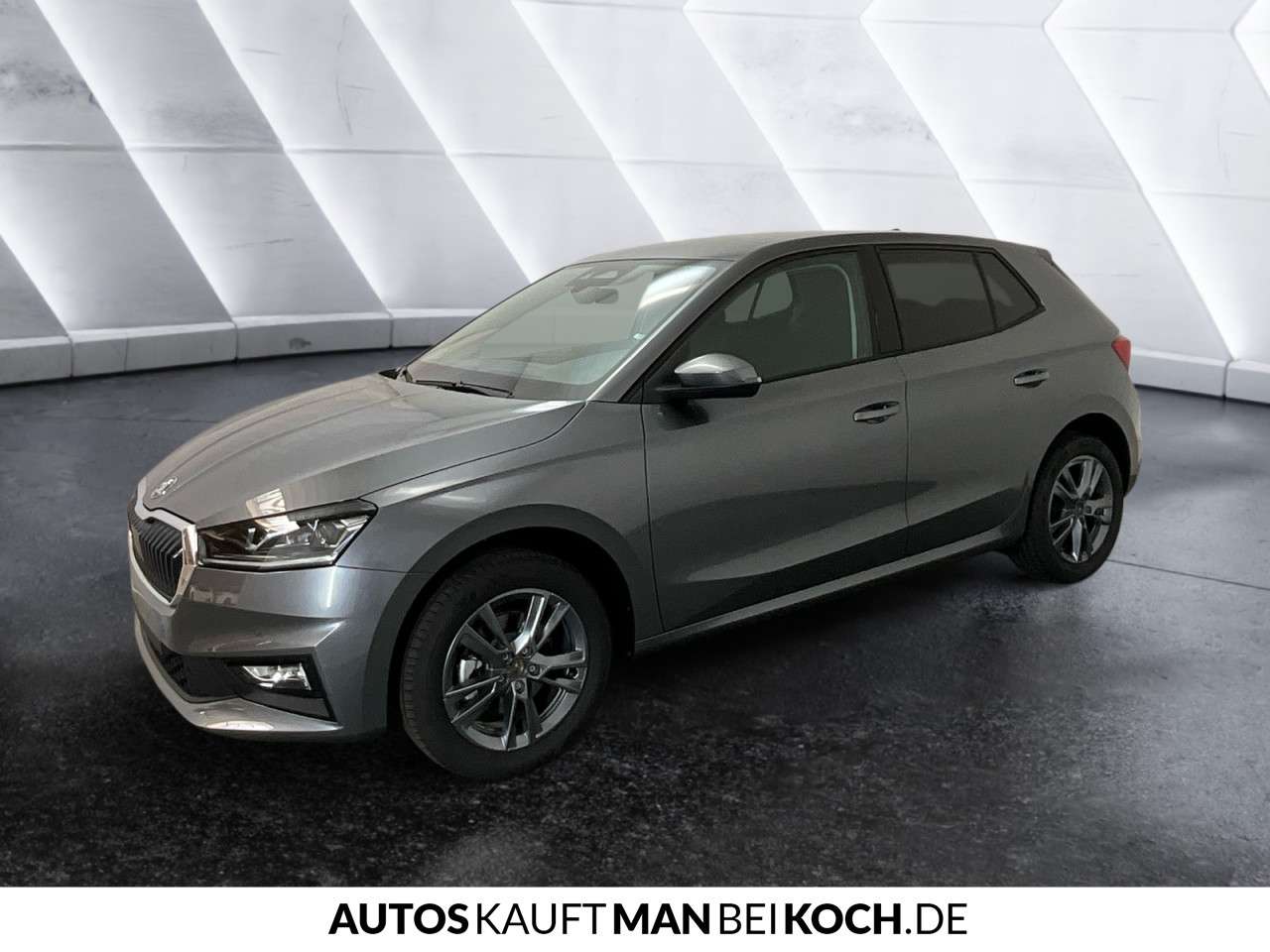 Fahrzeugbild eines Skoda Fabia