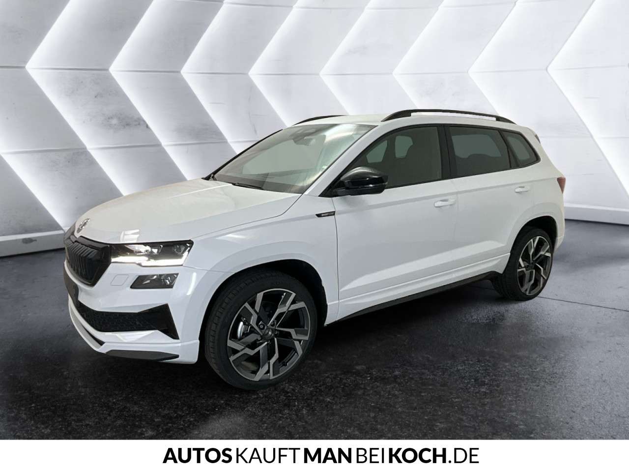 Fahrzeugbild eines Skoda Karoq