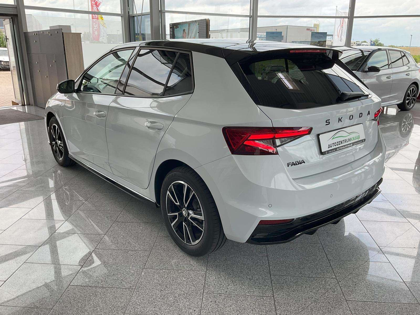 Fahrzeugbild eines Skoda Fabia