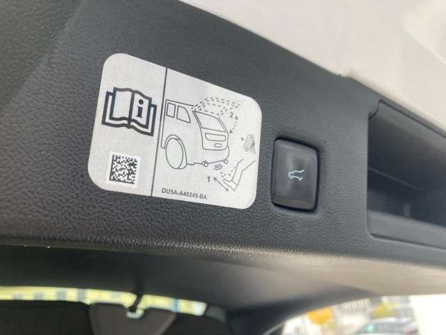 Fahrzeugbild eines Ford Kuga