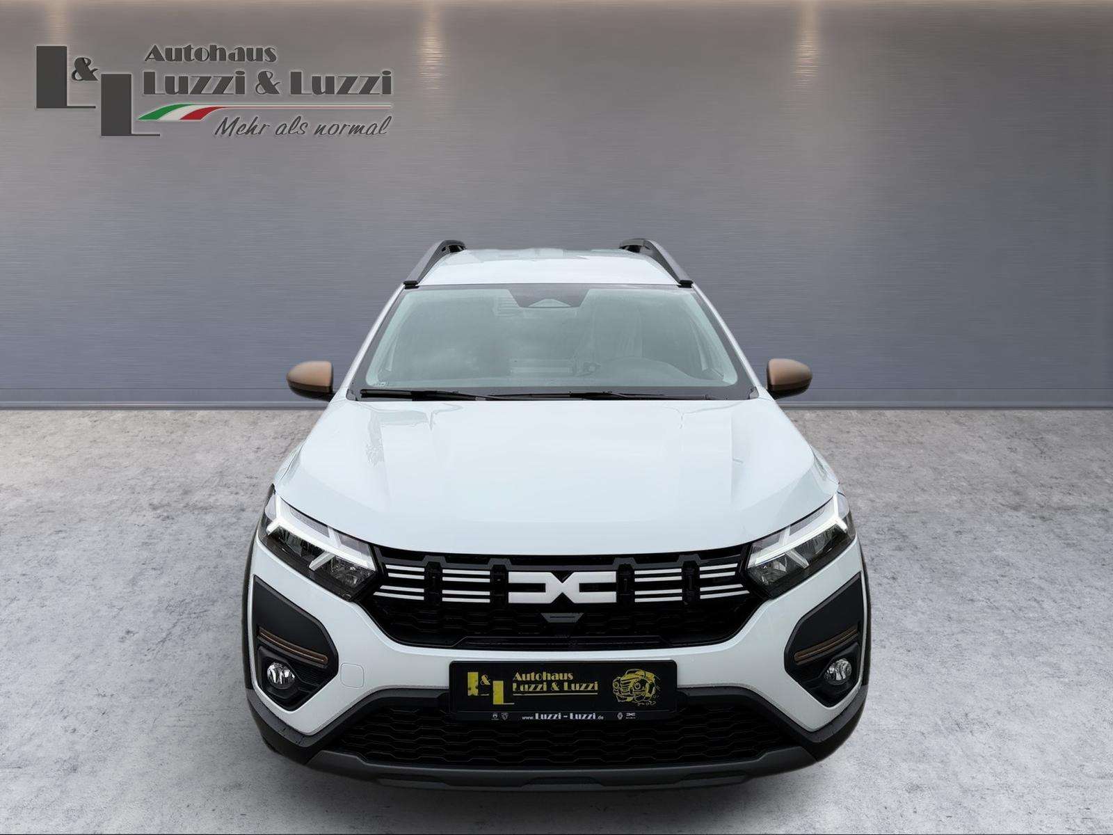 Fahrzeugbild eines Dacia Jogger