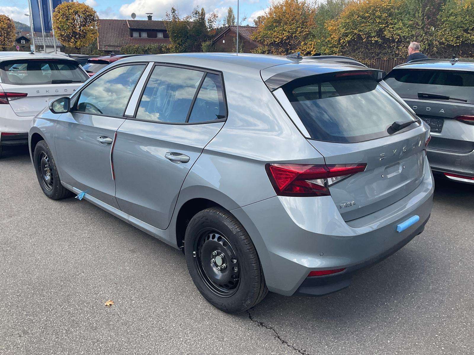Fahrzeugbild eines Skoda Fabia