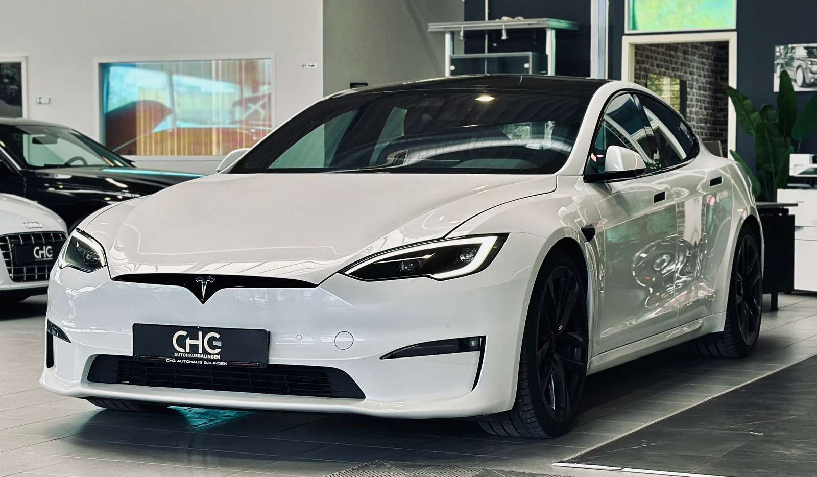 Fahrzeugbild eines TESLA Model S