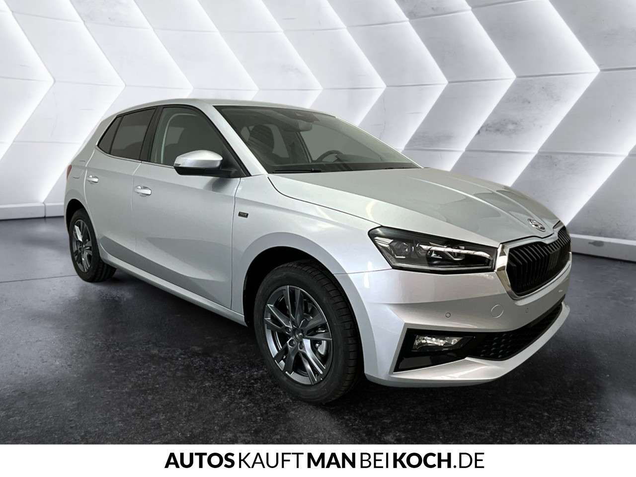 Fahrzeugbild eines Skoda Fabia