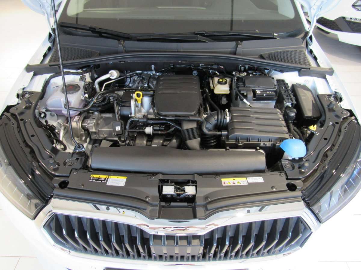 Fahrzeugbild eines Skoda Fabia