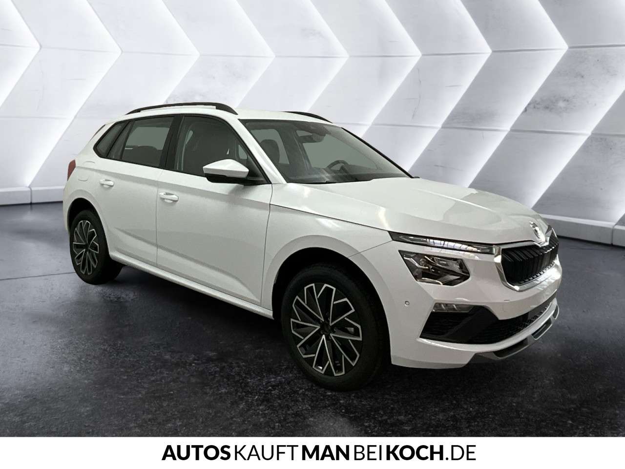 Fahrzeugbild eines Skoda Kamiq