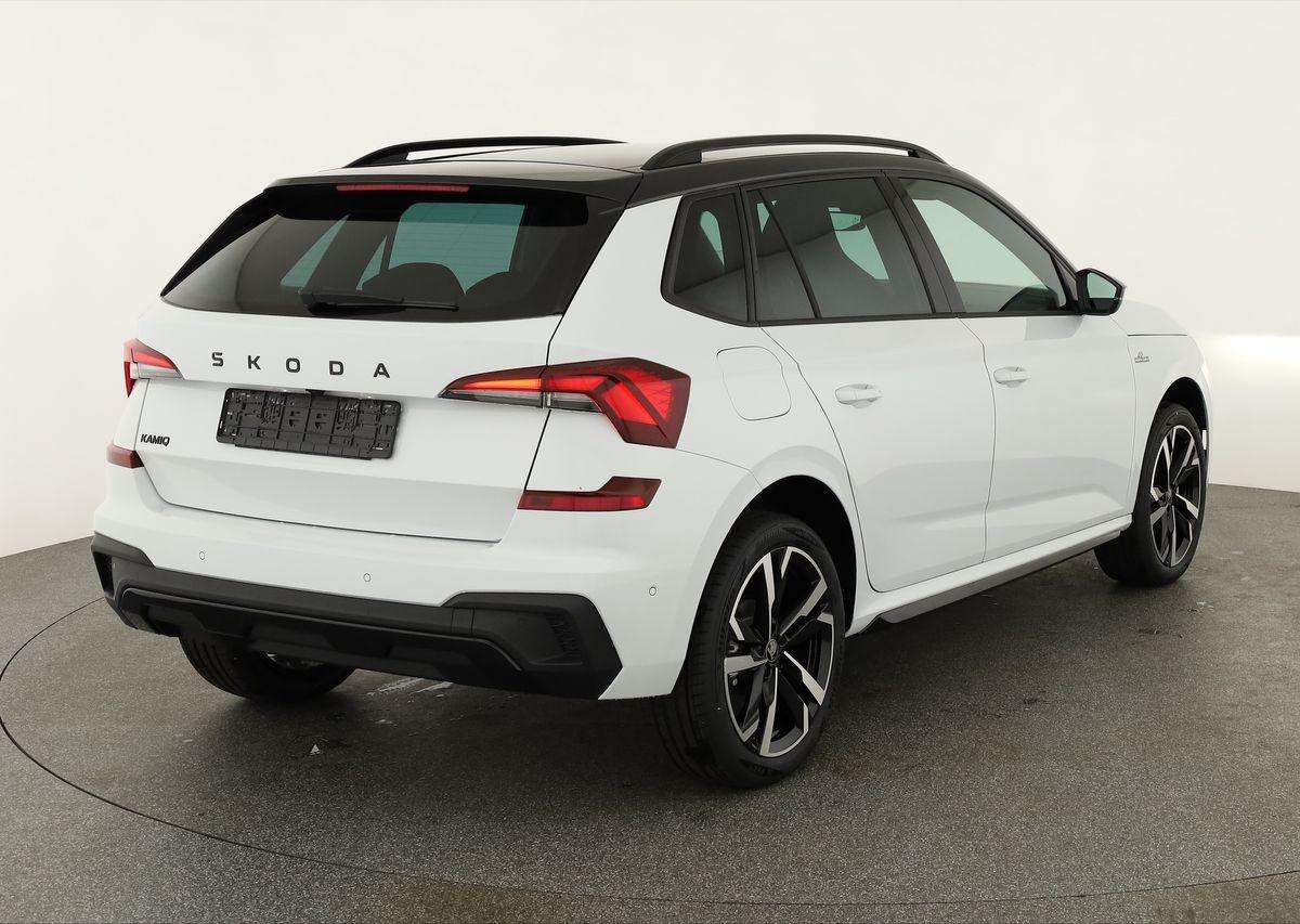 Fahrzeugbild eines Skoda Kamiq