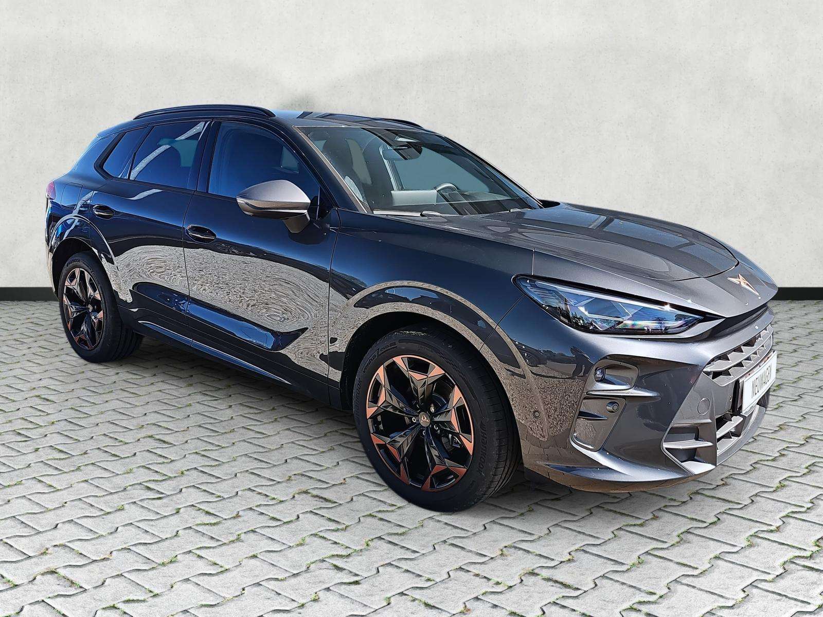 Fahrzeugbild eines CUPRA Terramar