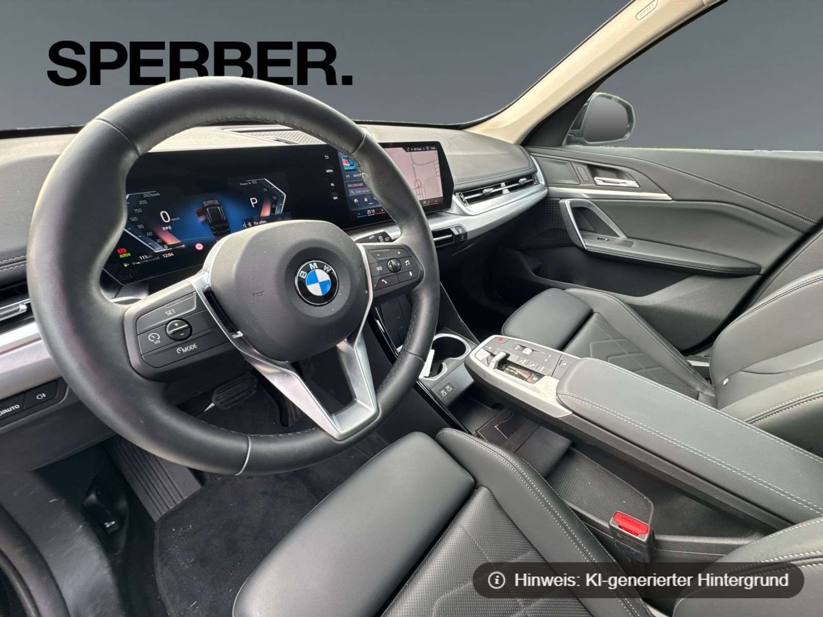 Fahrzeugbild eines BMW X1