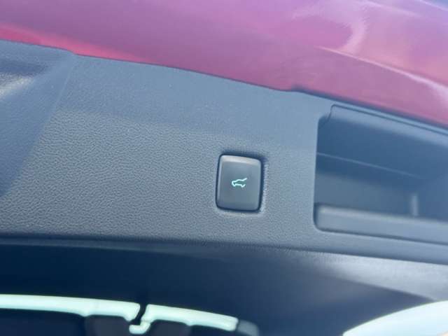 Fahrzeugbild eines Ford Kuga