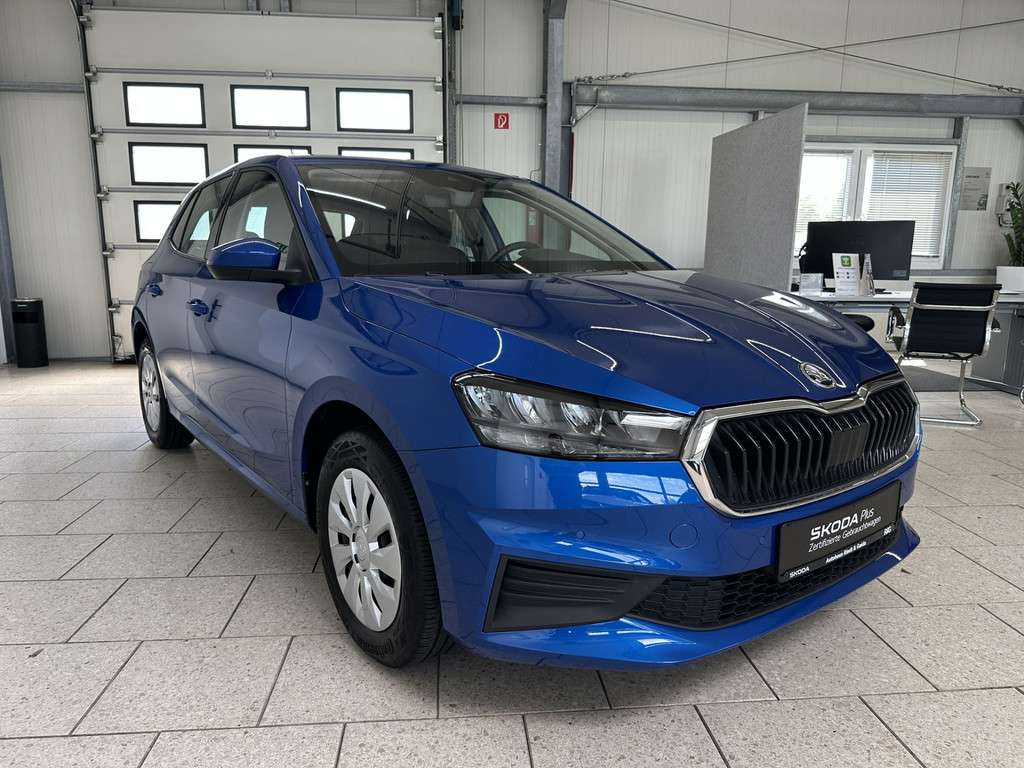 Fahrzeugbild eines Skoda Fabia
