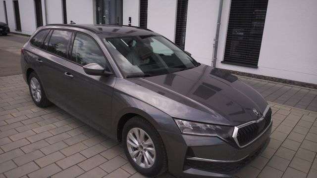 Fahrzeugbild eines Skoda Octavia