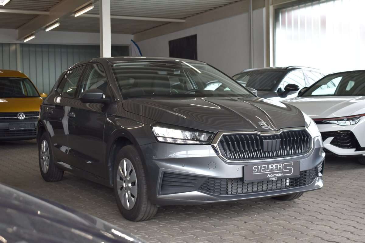 Fahrzeugbild eines Skoda Fabia