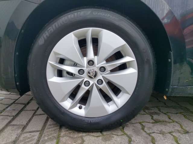 Fahrzeugbild eines Skoda Octavia