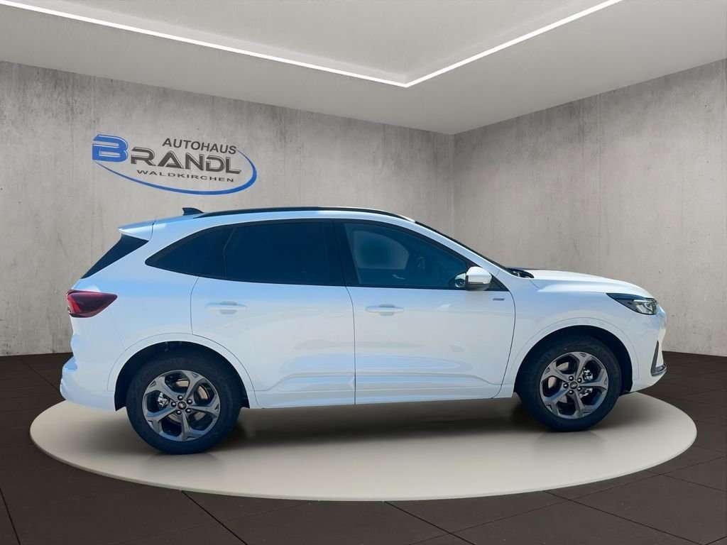Fahrzeugbild eines Ford Kuga