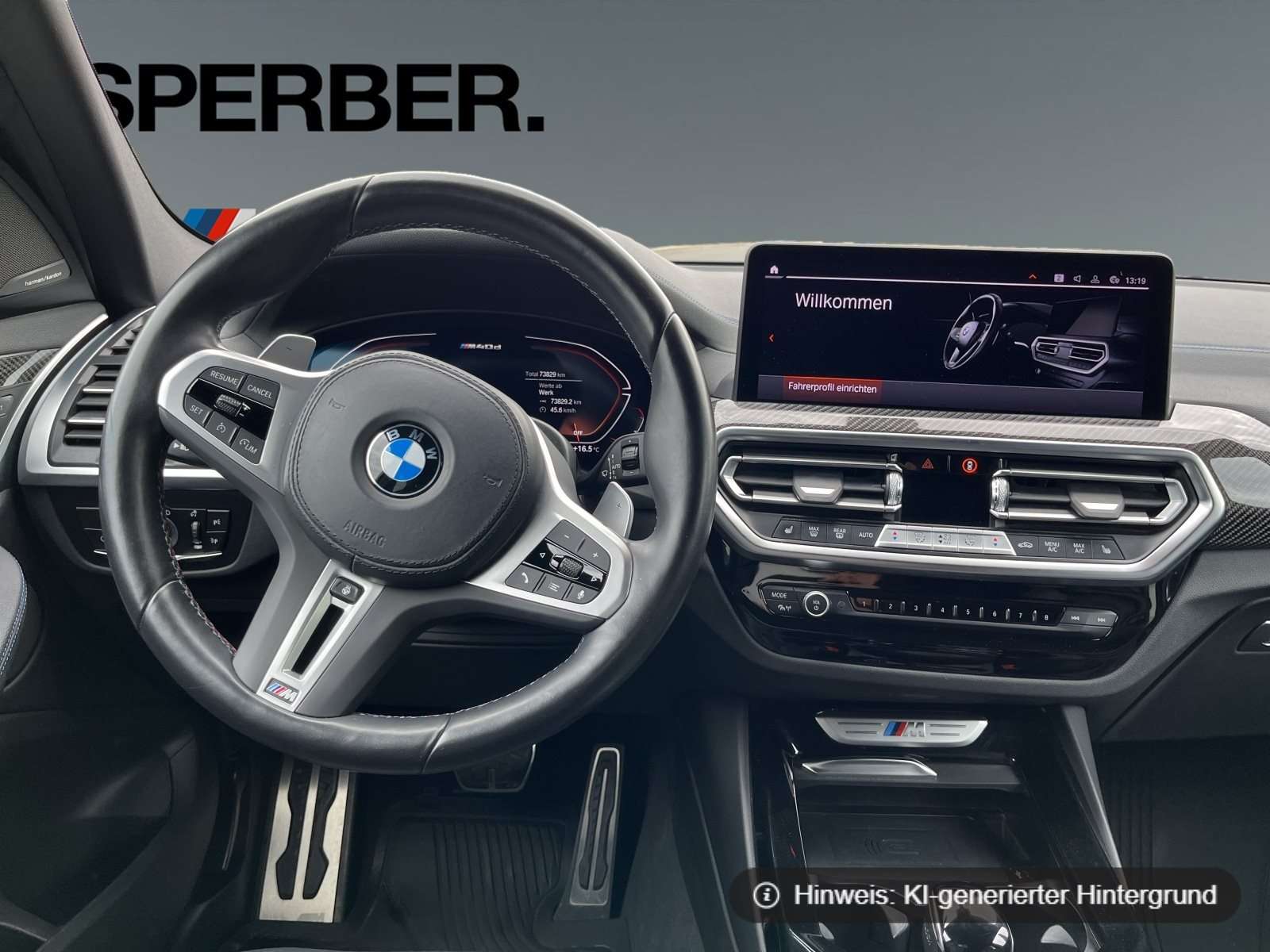 Fahrzeugbild eines BMW X3