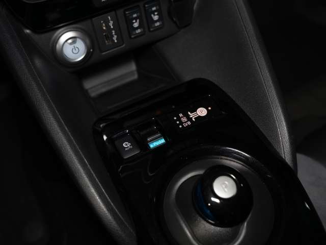 Fahrzeugbild eines Nissan Leaf