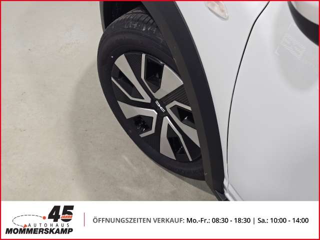 Fahrzeugbild eines Dacia Sandero