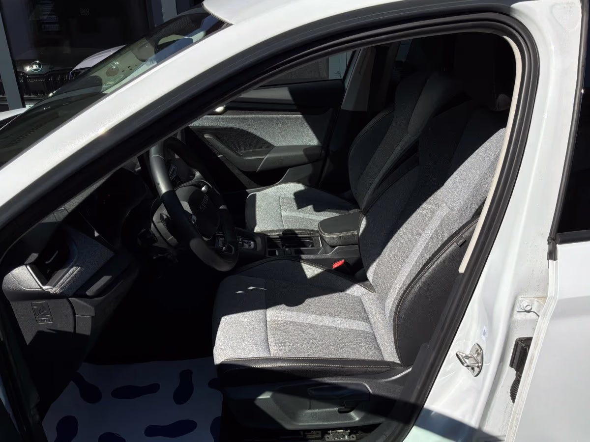 Fahrzeugbild eines Skoda Octavia