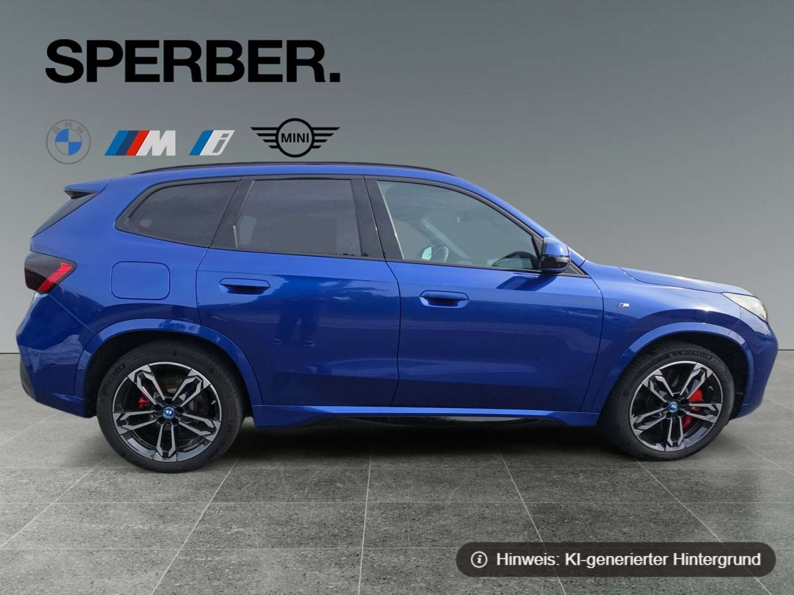 Fahrzeugbild eines BMW iX1