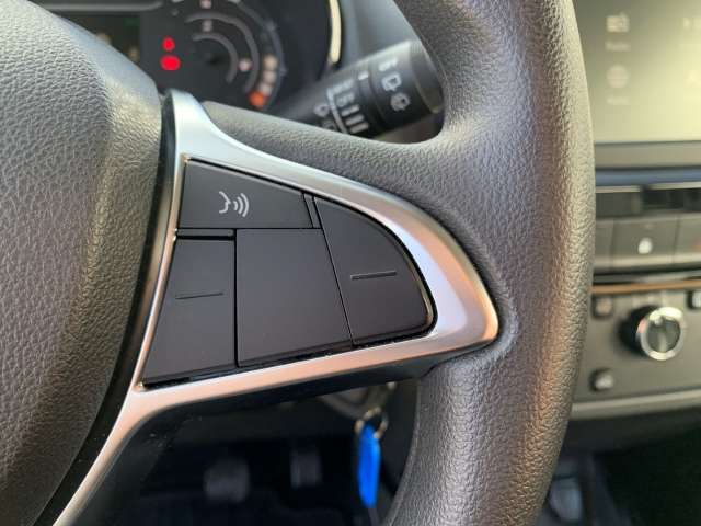 Fahrzeugbild eines Dacia Spring