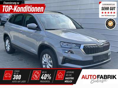 Bild Skoda Karoq