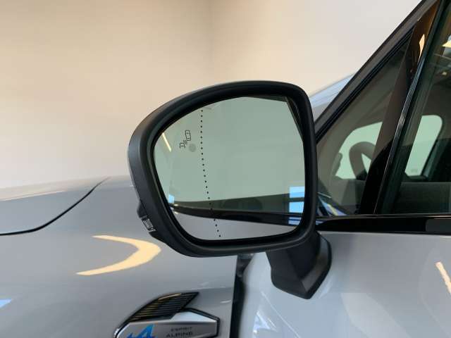 Fahrzeugbild eines Renault Symbioz