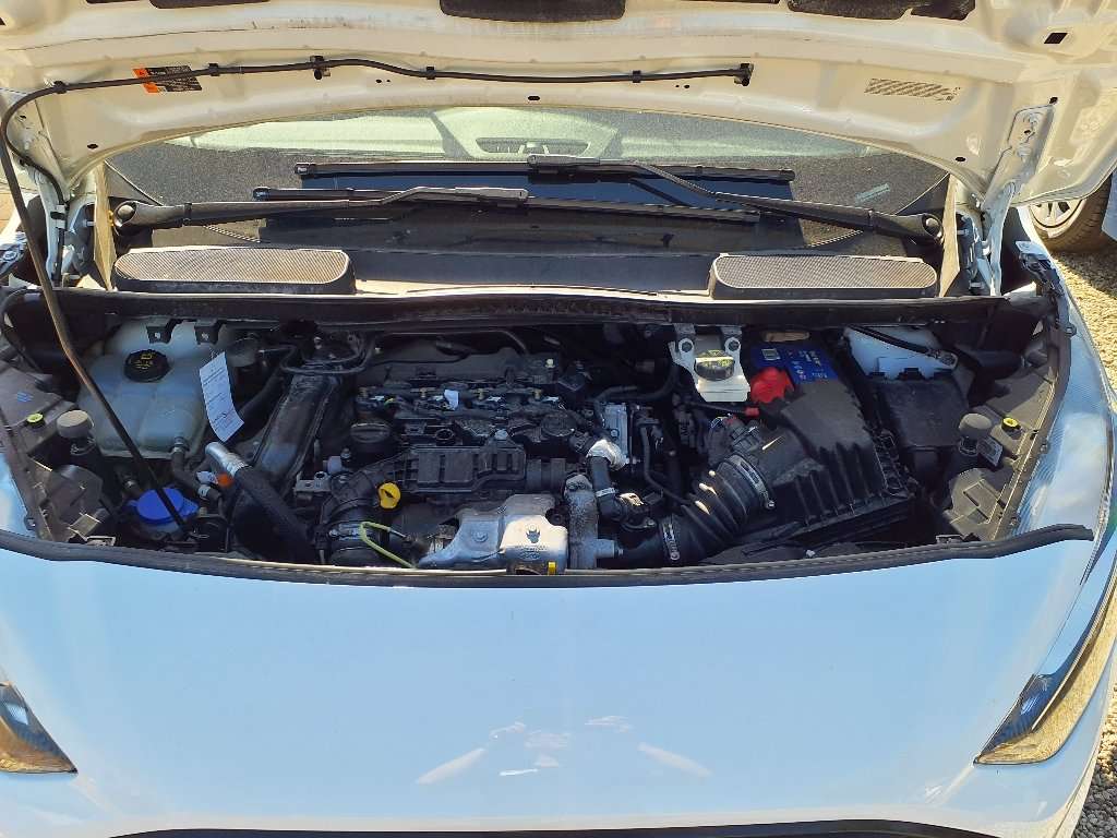 Fahrzeugbild eines Ford Transit Connect