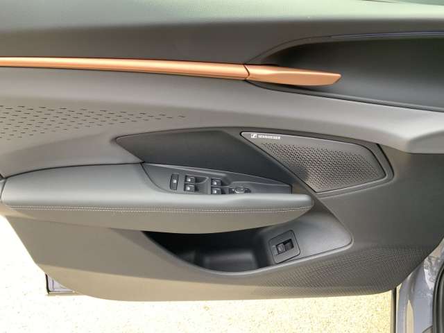 Fahrzeugbild eines CUPRA Terramar