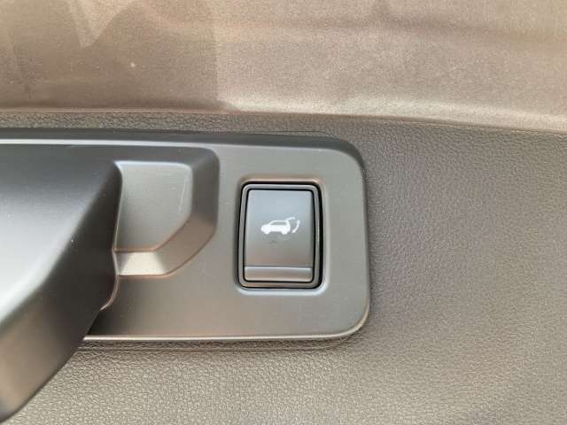 Fahrzeugbild eines Renault Rafale